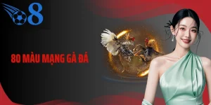 80 Màu Mạng Gà Đá Và Cách Đọc Thế Trận Chuẩn Xác Khi Vào Kèo