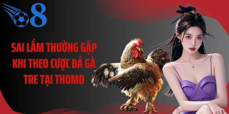 Sai lầm thường gặp khi theo cược đá gà tre tại Thomo