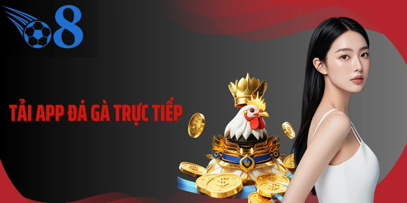 Tải App Đá Gà Trực Tiếp  O8 Chuẩn Tốc Độ, Theo Kèo Mượt Mà